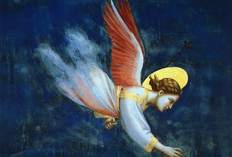 Giotto, anděl