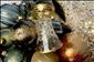 SOUT̎ o Zlat� kv�t� z nov� kolekce v�no�n�ch ozdob Ticha noc