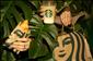 Kdo vyhrl a vychutn si lto v kavrnch Starbucks