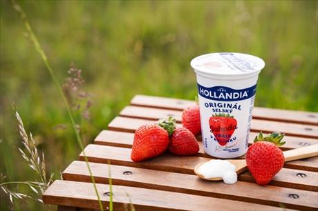 Hollandia