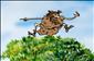 Komiks: Udatn� �esk� n�rod a bezv�znamn� sv�t