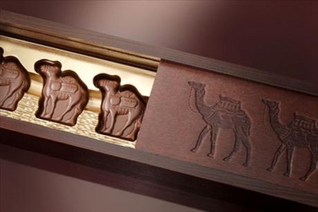 Milka se t�ese. P�ich�z� velbloudice