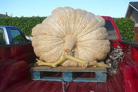 D�ni mamuta ne? Tak alespo� p�r sklenic!