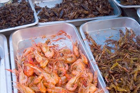 Pro otrl� a pro milovn�ky exotiky