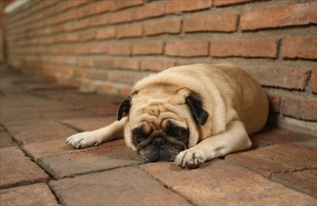 Mazl��ci trp� vedrem. Jak jim pomoci?