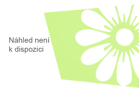 Ko�ky na p�skovi�ti. Co s t�m?