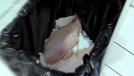 platzi v koi