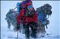 Proč je Mount Everest nejnebezpečnější místo na Zemi?