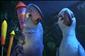 Rio 2: Papou�ci Blu a Perla nejsou jedin� na sv�t�!