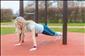 Kolik kalori� se d� sp�lit ve�m�st�?