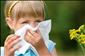 tvrtinu ech trp pylov alergie, jak si pomoci