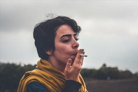 Cigaretovník-novinka
