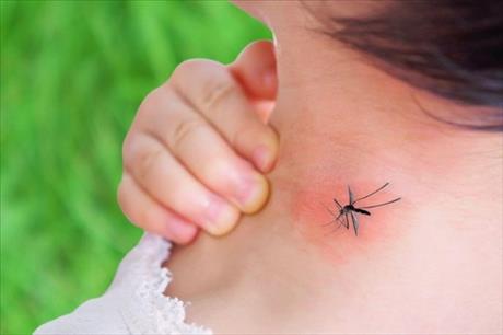 mouchy a kom��i